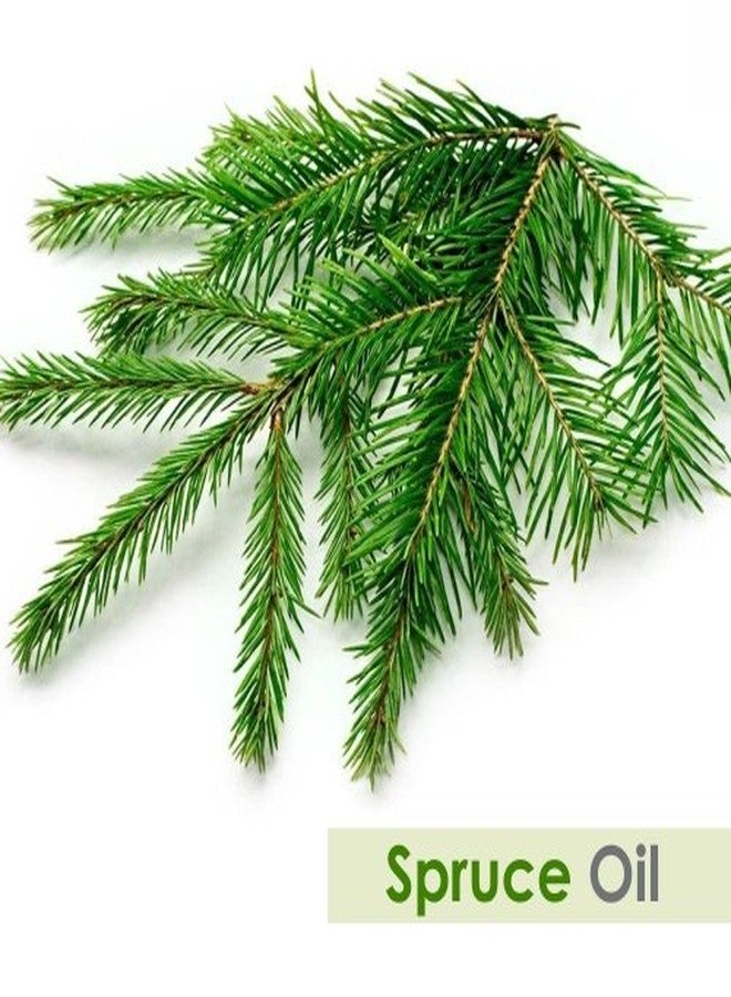 سالفيا زيت التنوب (Tsuga canadensis) زيت عطري علاجي مع قطارة، زجاجة كهرمانية، طبيعي 100%، نقي، غير مخفف، معصور على البارد، زيت عطري فاخر - 15 مل / 0.5 أونصة سائلة - Image 2